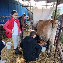 ilustrační obrázek